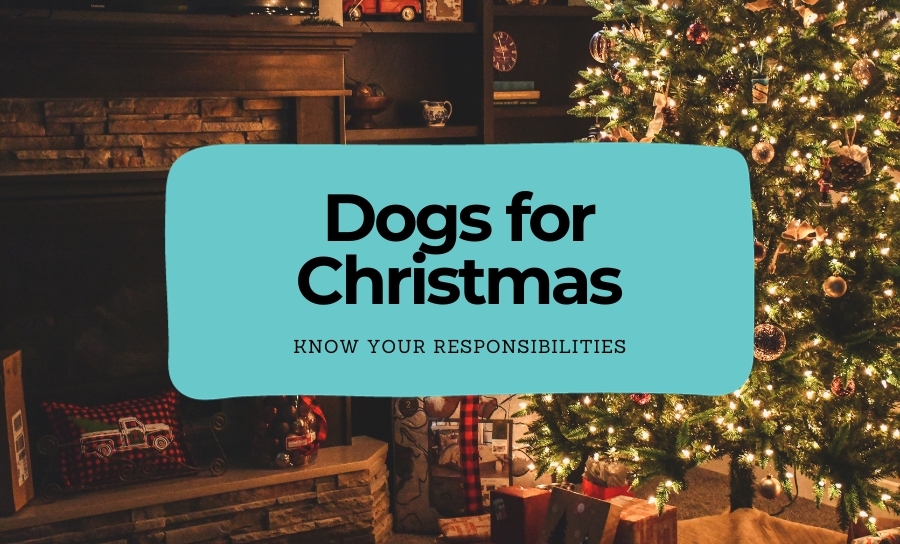 Dogs for Christmas