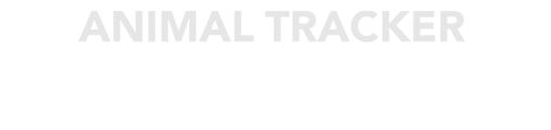 Animal Tracker registration for dogs.