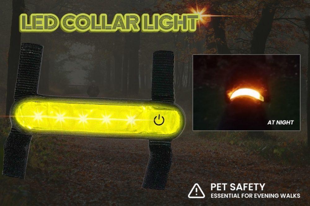 LED Collar Cover Light