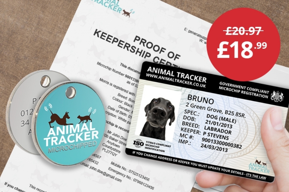 Pet Identification Bundle