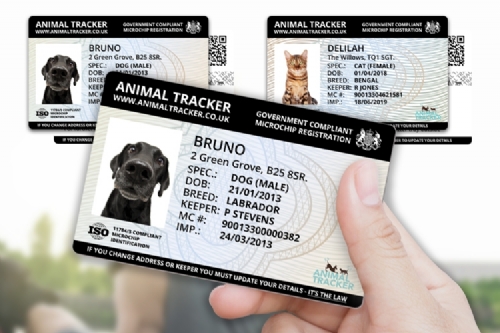 Pet Identification Cards (2 cards per pack)