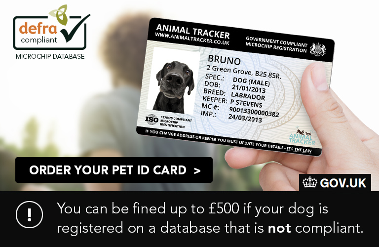 dog microchip registration