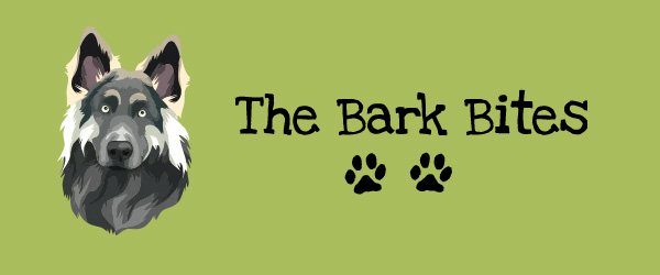 Bark Bites Offer