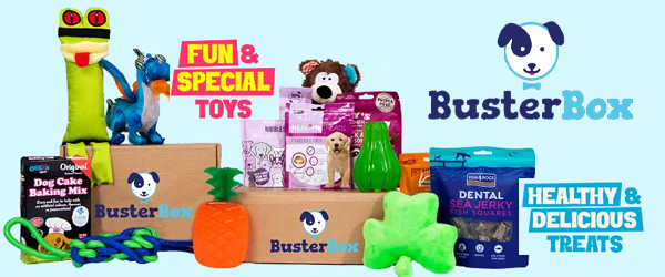 BusterBox Offer