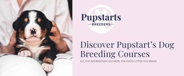 Pupstarts Breeders Discount Code