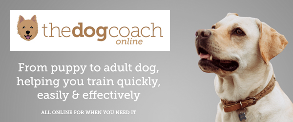 The Dog Coach