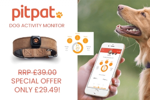 PitPat Dog Activity Monitor