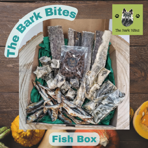 Fish Treat Box from The Bark  Bites
