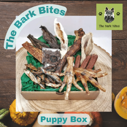Puppy Treat Box from The Bark Bites