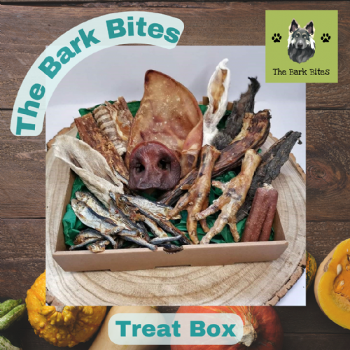 Treat Box from The Bark Bites
