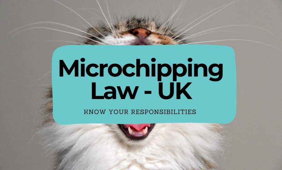 The UK Law of Pet Microchipping