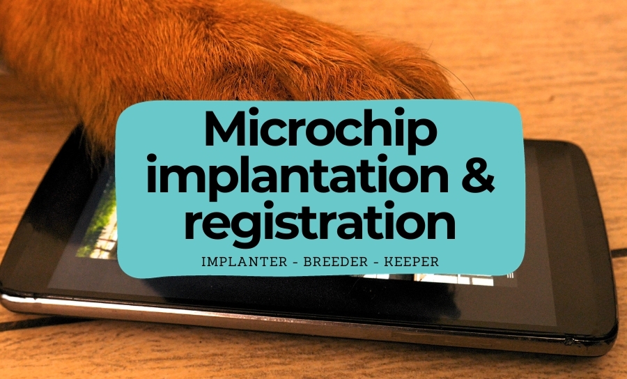 The Microchipping process - from implanter to breeder to keeper.