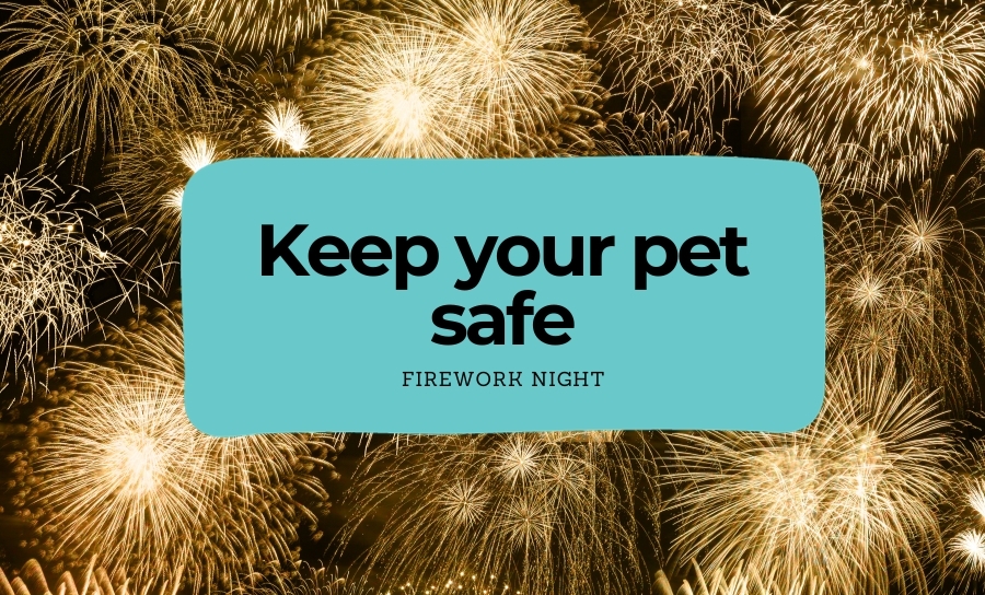 Firework Night Frights: How to Keep Your Pets Safe and Calm