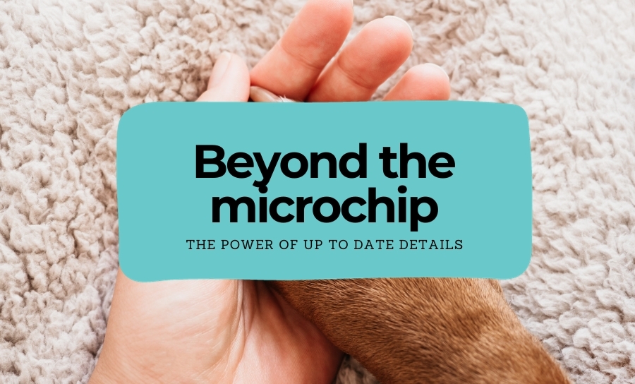 Beyond the Chip: The Power of Keeping Your Pet's Microchip Data Current