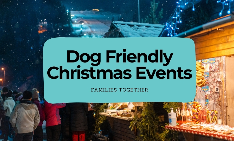 5 Top Dog-Friendly Christmas Events