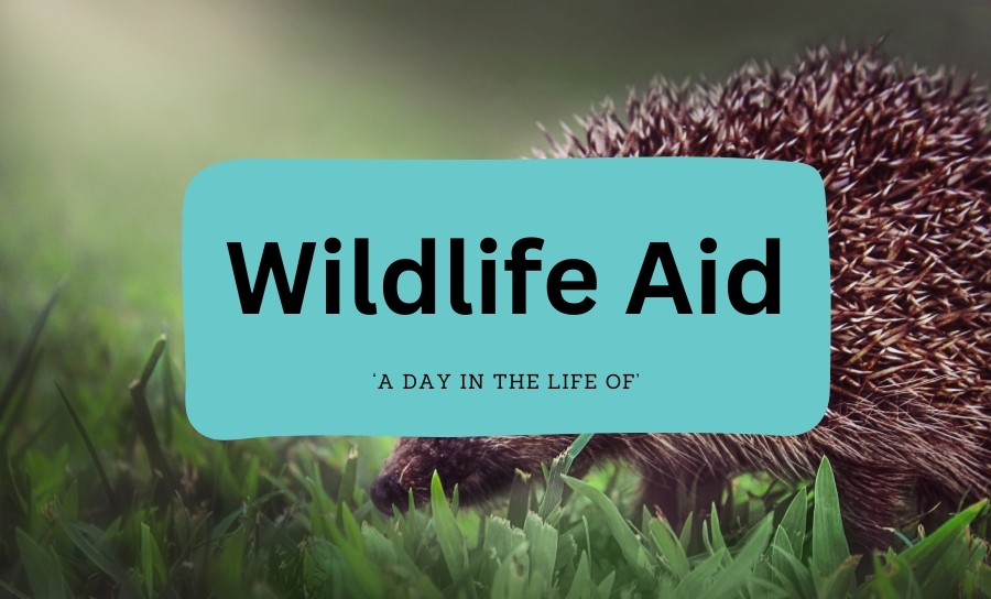 Wildlife Aid Foundation