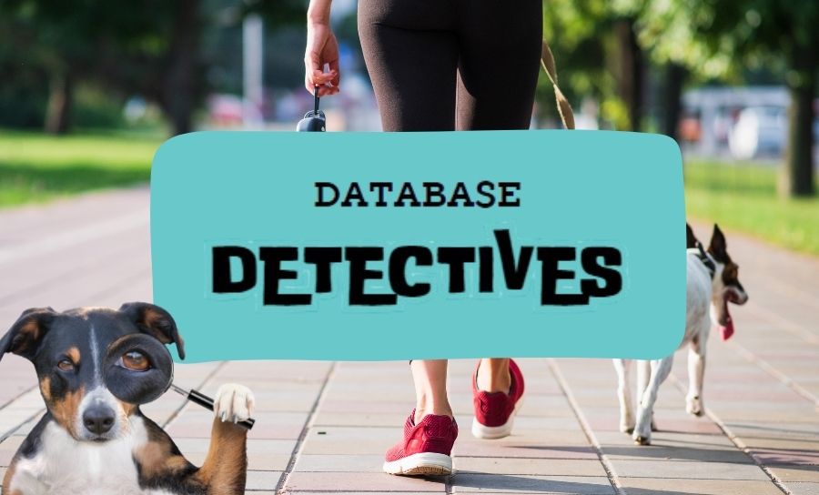 Database Detectives