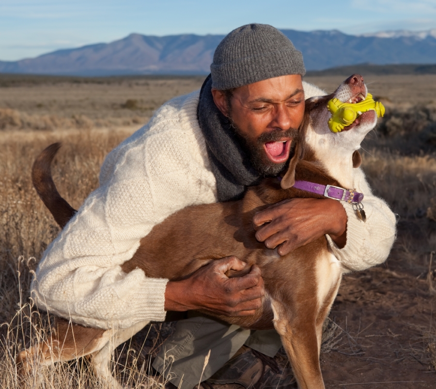 Everything You Need to Know About Microchipping in 2025: A Complete Guide